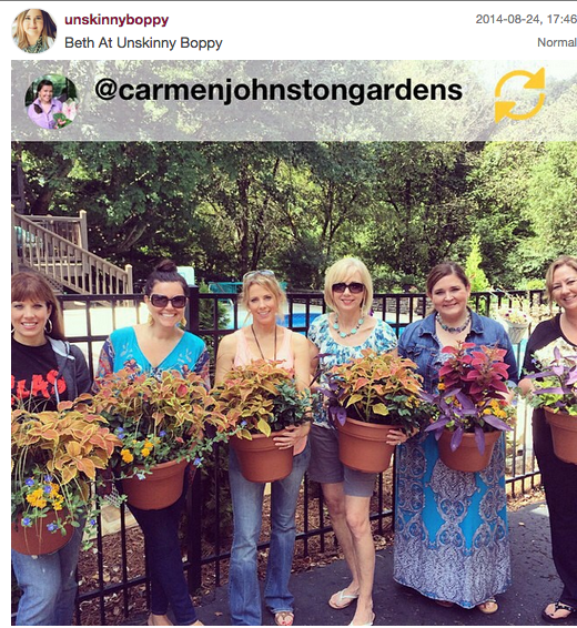 Container Gardens for the group from Carmen Johnston Gardens
